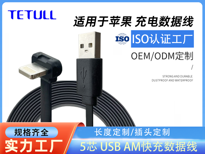 Lightning苹果 T头 TO USB AM 快充